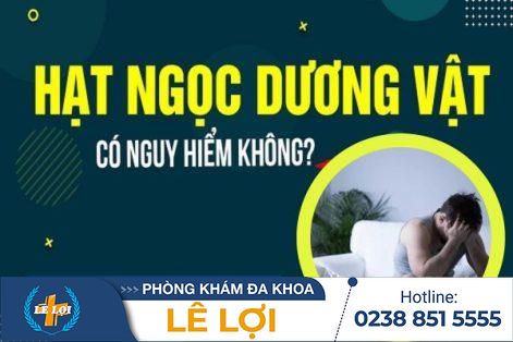 Ảnh hưởng của hạt ngọc dương vật đối với sức khỏe nam giới